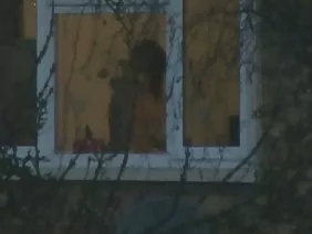 選擇是Xander Corvus的職業。這傢伙一直想創造出完美的女人。為此，農村實驗者將輕浮類型Pita Jensen的漂亮女演員的基因引入母豬。曲柄在動物和著名的色情女星之間得到了一些東西，但最令人驚訝的是，這個突變體不斷地哼著他的混蛋，搖搖欲墜，暗示性。集體農民有一段時間遠離墮落的女孩，趴在穀倉裡爬行，但後來無法忍受選擇者的靈魂。他決定將一個不知名的生物施肥於大自然，以便從一個骯髒的生物中獲得非凡的後代。 otzharit衍生生物，類似於Pete Jensen，比讓烤肉串上的窮人更好！