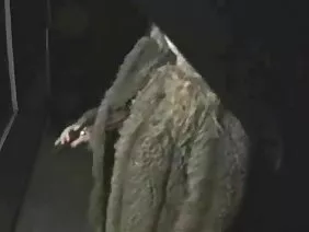 為了好玩，兩個笨蛋已經訂購了一個妓女到房子裡，快遞員必須在包裹里送貨。該訂單的讚助商從自己的口袋裡支付了訂單，然後跑到商店購買食物與妓女聚會。憤世嫉俗地拒絕了另一個人，因為它只能用睾丸餵養精子，並且在將molofi倒入她的嘴里之後，愛的祭司通常會收到工作的錢並且沒有任何浪漫的智慧。當他的送貨員在門口留下一個有洞的巨大箱子時，鄉下人穿著內褲。天使維基坐在新娘的婚紗禮服內，她會匆匆忙忙地給一個沒有抬起手指在網站上下訂單的人做親密的服務。